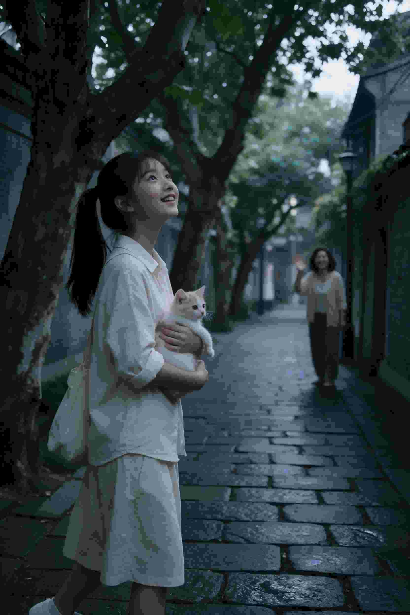 时光漫步
